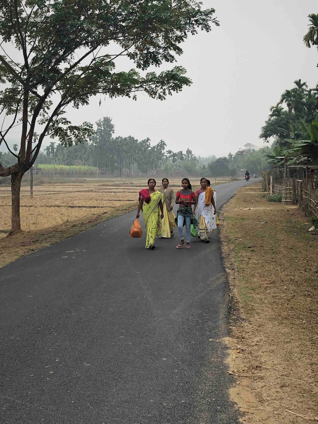 In Search of the Golden Thread