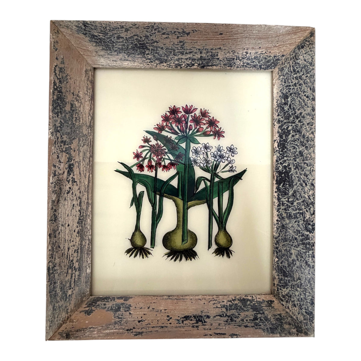 A framed botanical art print featuring three stylized onion plants with red, pink, and white flowers, set in a distressed, rustic wooden frame.