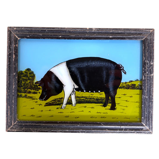 a black pig with a white band across its shoulders, foraging in a sunny field beneath a bright blue sky. Distressed black frame.