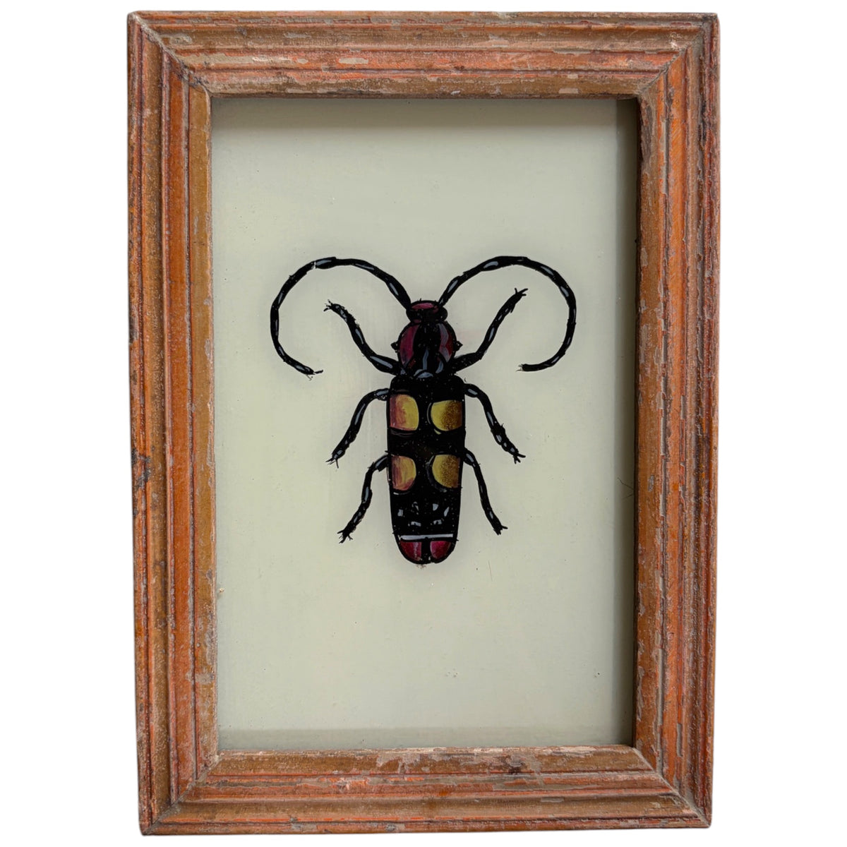 A framed insect art piece featuring a detailed beetle illustration with black, red, and yellow details, enclosed in a distressed brown wooden frame against a light background.