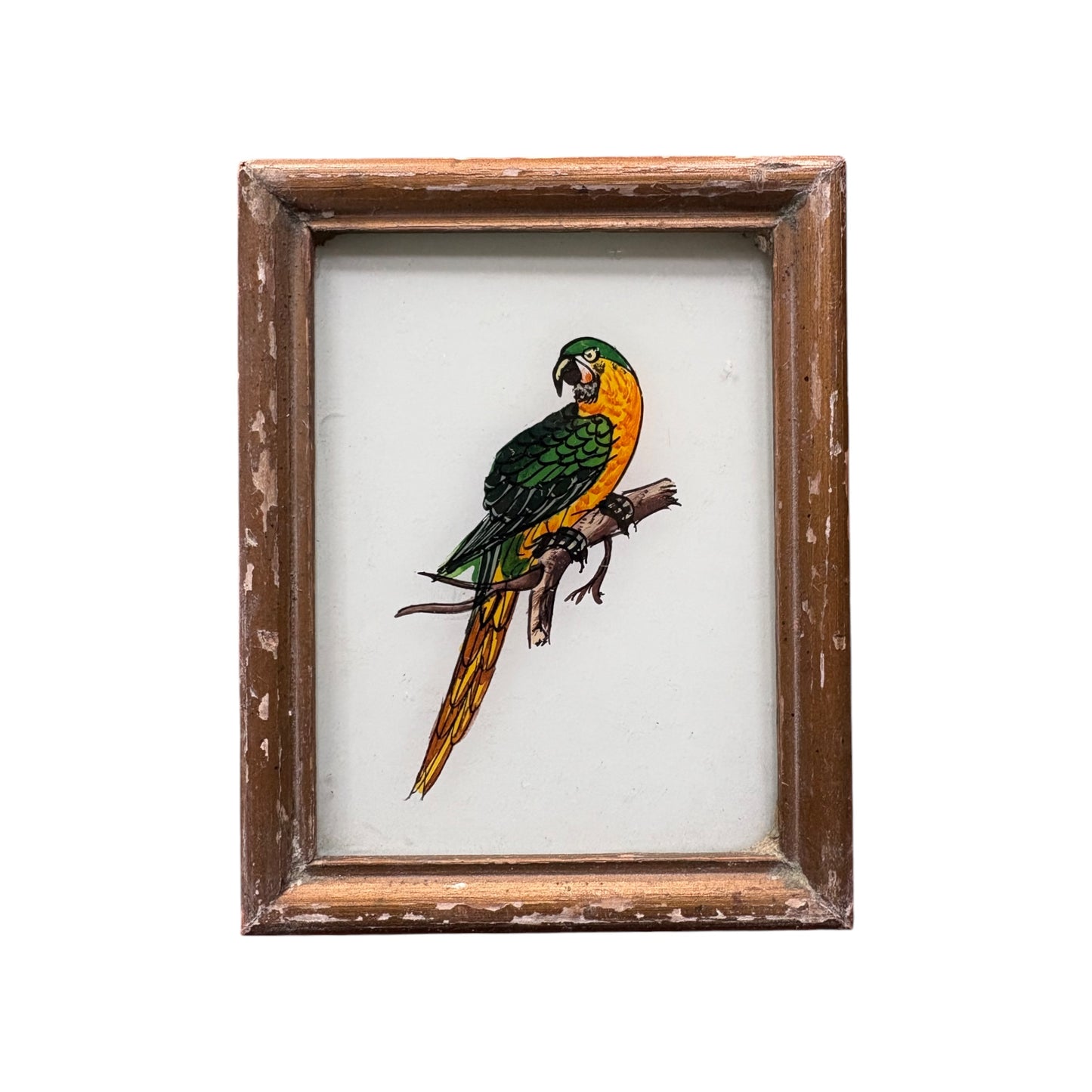 Mini parrot glass painting