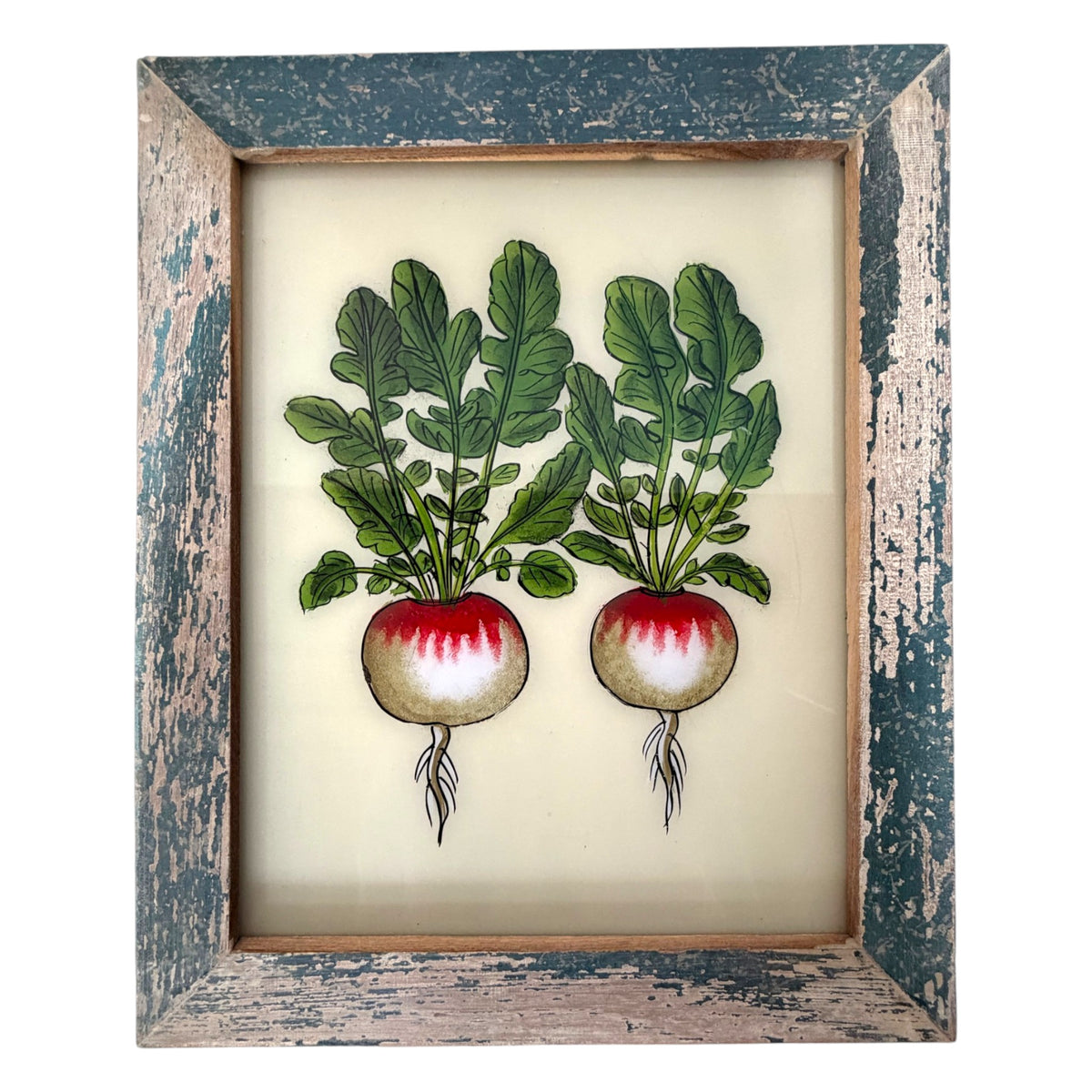 A framed botanical art print depicting two radishes with green leaves and red-and-white roots, set in a distressed blue and beige wooden frame.