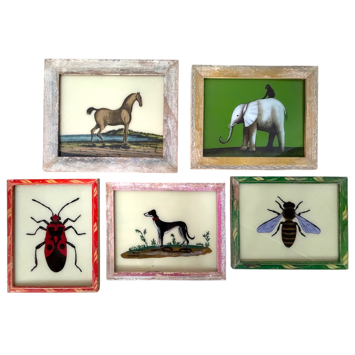 Five small framed vintage-style animal and insect art pieces arranged on a white background, including a horse, elephant, beetle, dog, and bee, each in a different colored frame.