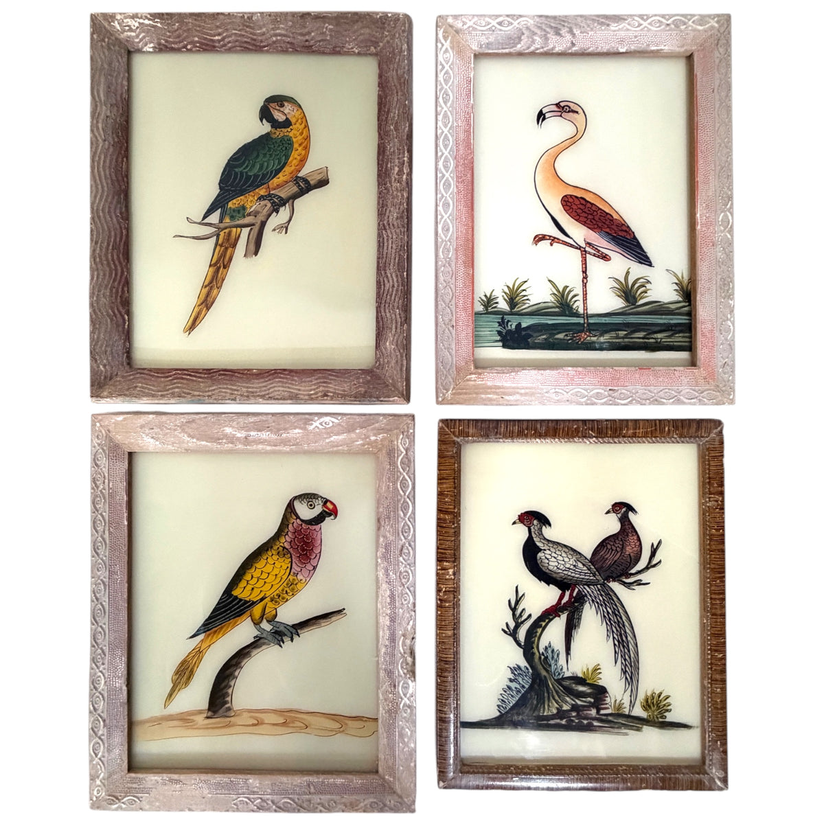 Four framed hand-painted reverse glass bird paintings: macaw, flamingo, parakeet and pheasant pair. 