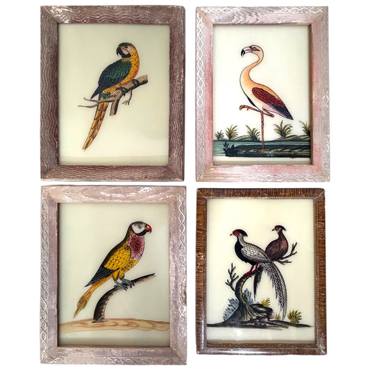 Four framed hand-painted reverse glass bird paintings: macaw, flamingo, parakeet and pheasant pair. 