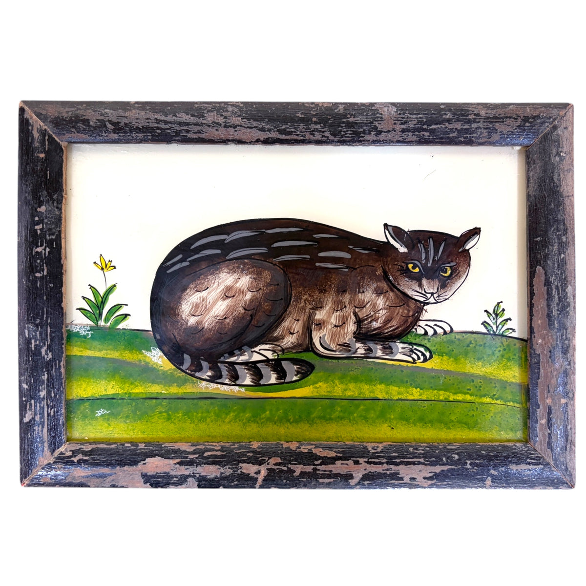 a brown tabby with striking yellow eyes, curled up on a green and yellow meadow beside a little yellow flower. Distressed black frame