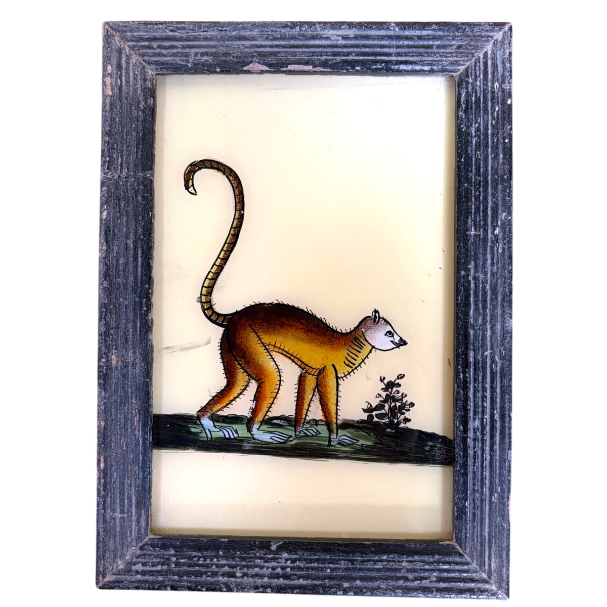 a golden lemur with a long ringed tail, walking along a green bank beside a small flowering plant. Ribbed black wooden frame