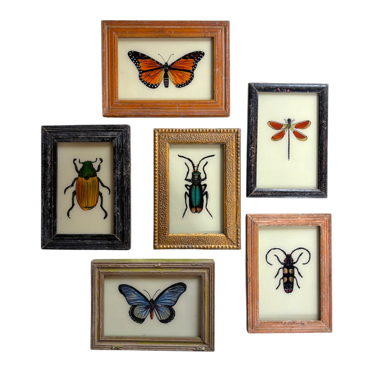 Six framed reverse glass paintings of two butterflies, a dragonfly and three beetles in aged wooden frames
