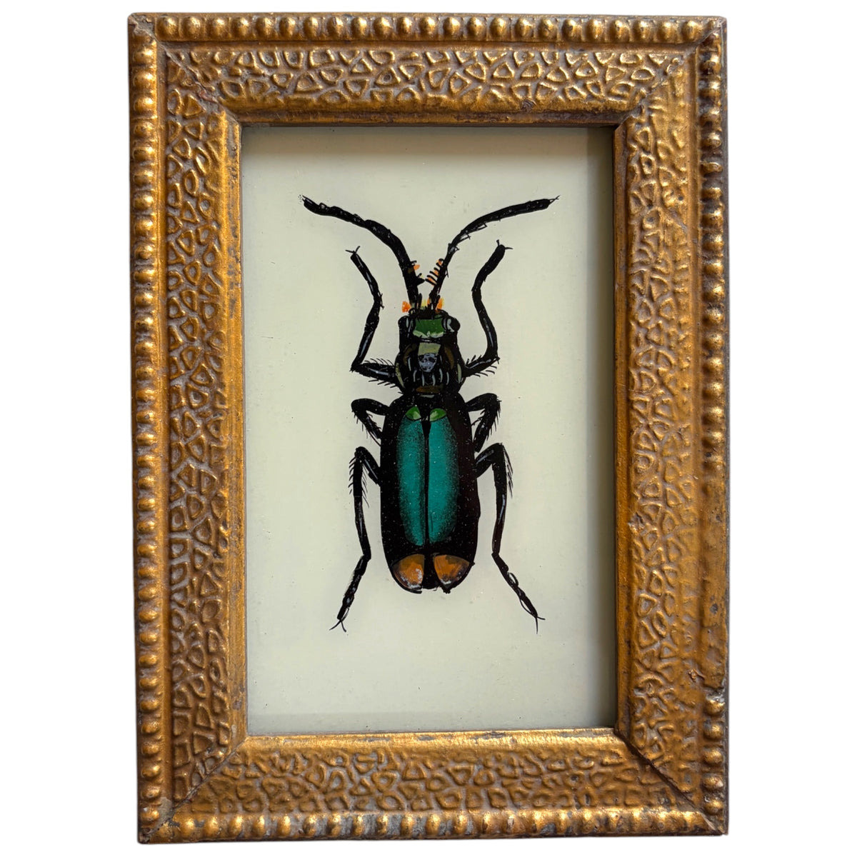 Reverse glass painting of a teal and green beetle in an ornate gilt frame
