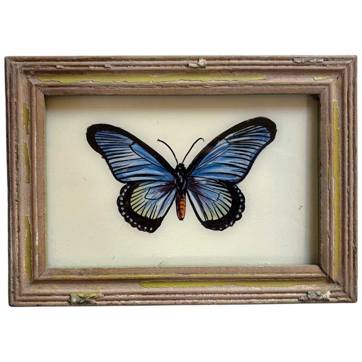 A framed butterfly art piece featuring a blue and black butterfly with a small orange accent on a cream background, enclosed in a distressed rustic brown wooden frame.
