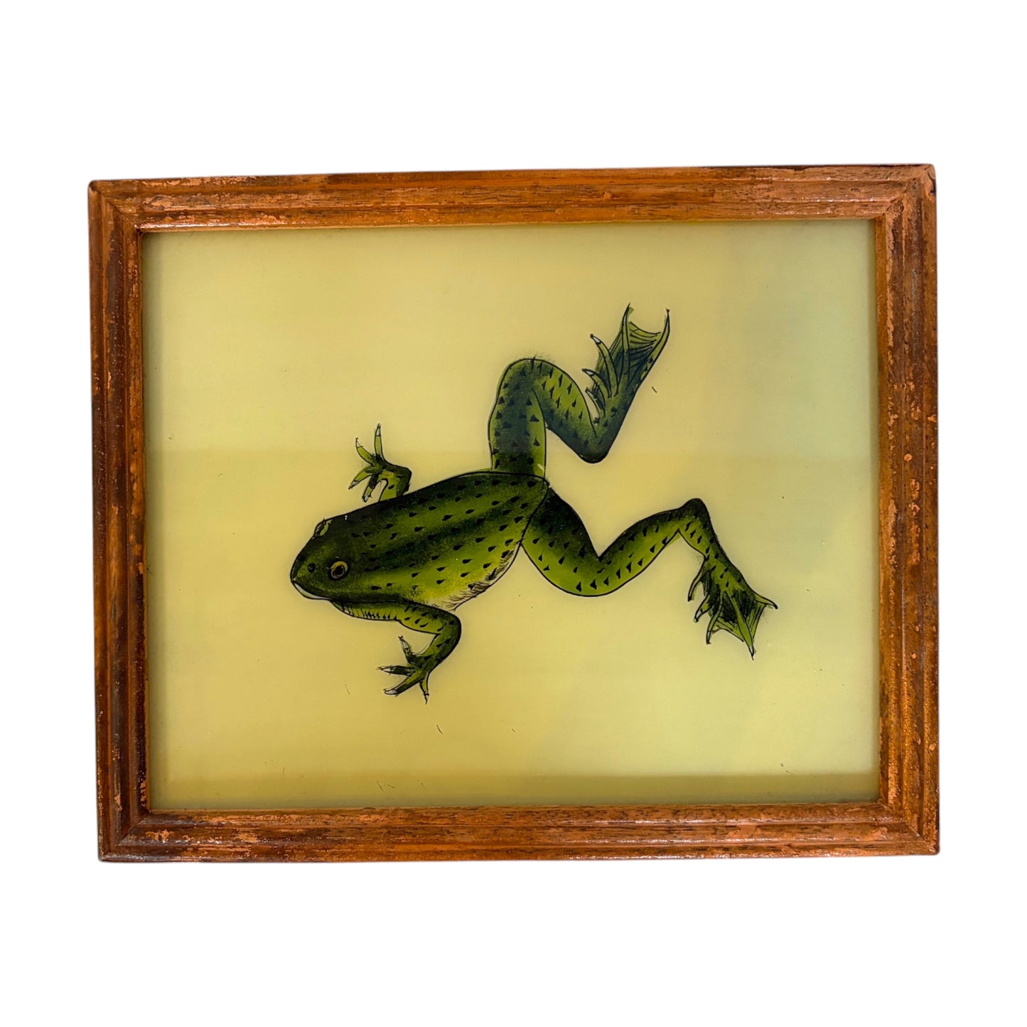 A framed vintage-style illustration artwork of a green frog on a pale yellow background, enclosed in a rustic wooden frame.