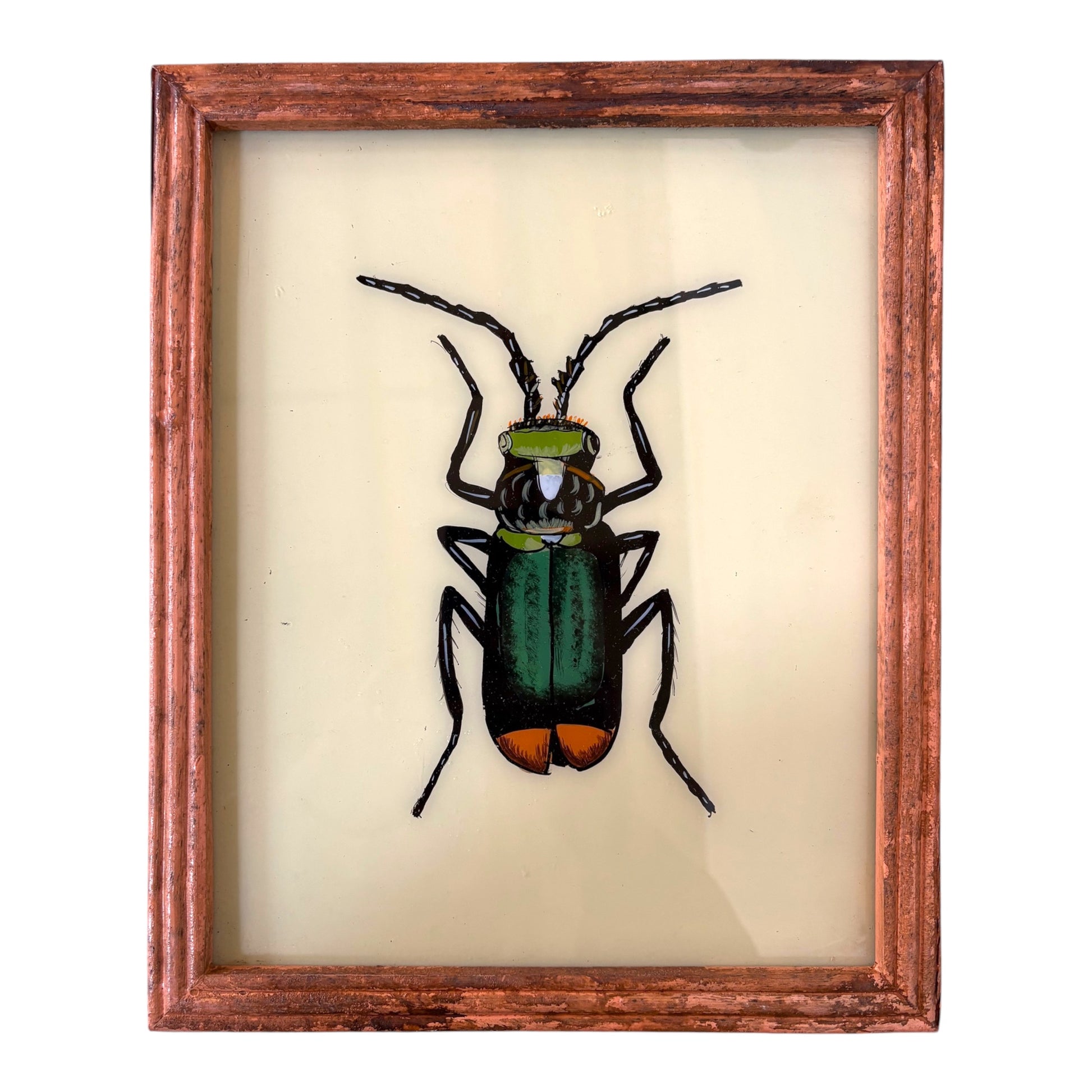 Medium beetle glass painting  in coral wooden frame