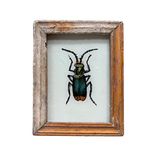 Mini beetle glass painting