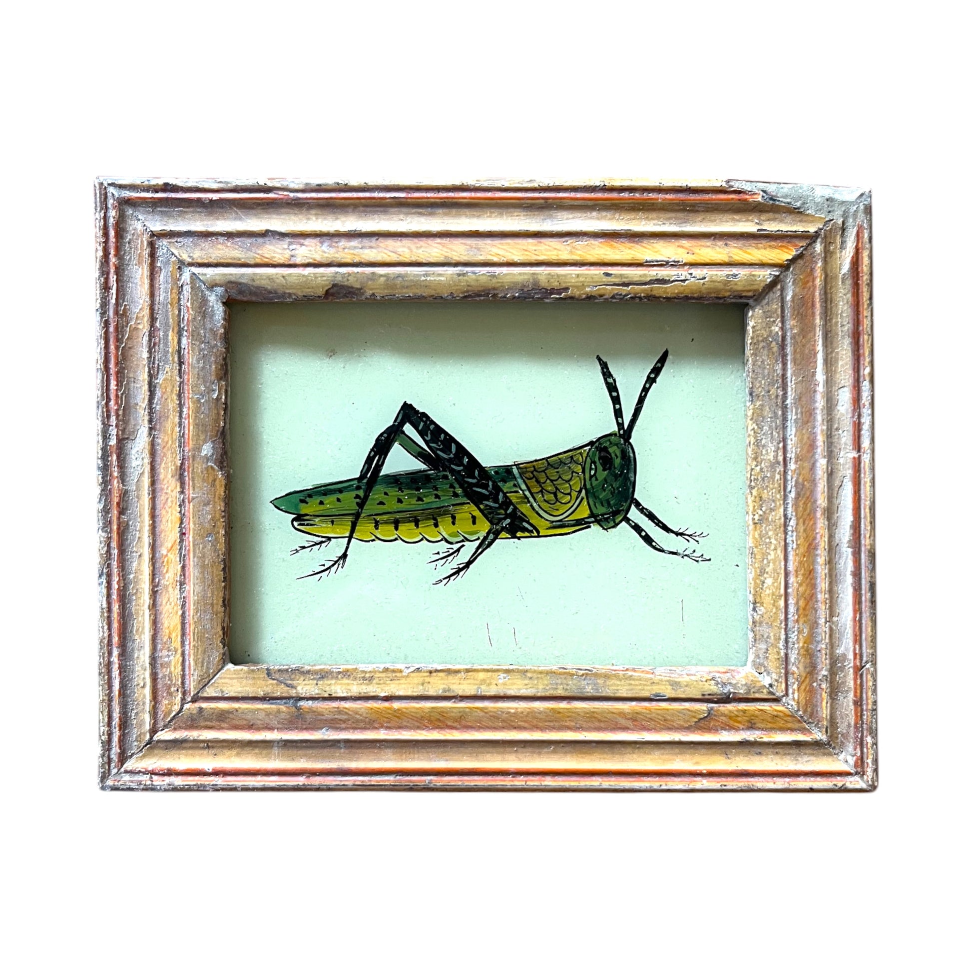 Mini grasshopper glass painting