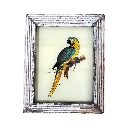 Mini parrot glass painting