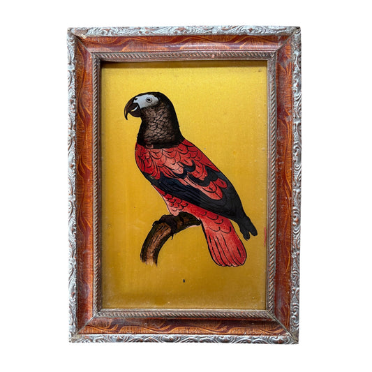 Medium parrot glass painting