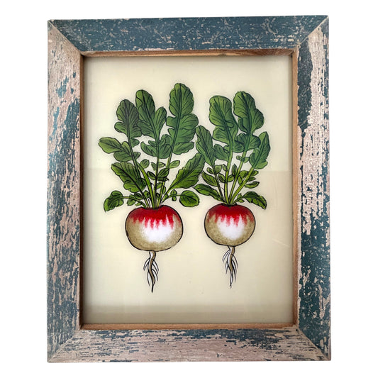 A framed botanical art print depicting two radishes with green leaves and red-and-white roots, set in a distressed blue and beige wooden frame.