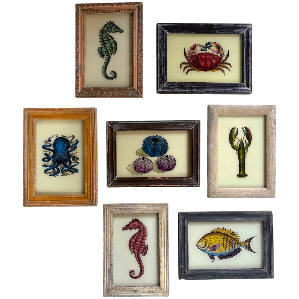 Seven framed nautical art pieces arranged on a white background, including seahorses, a crab, an octopus, sea urchins, a lobster, and a fish, each in different wood-toned frames.