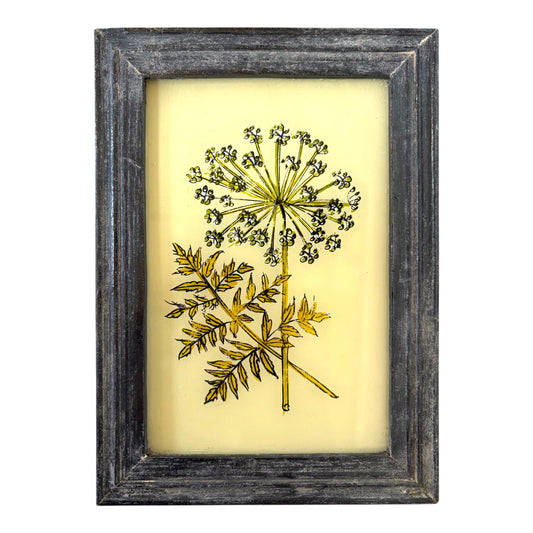 small cow parsley glass painting