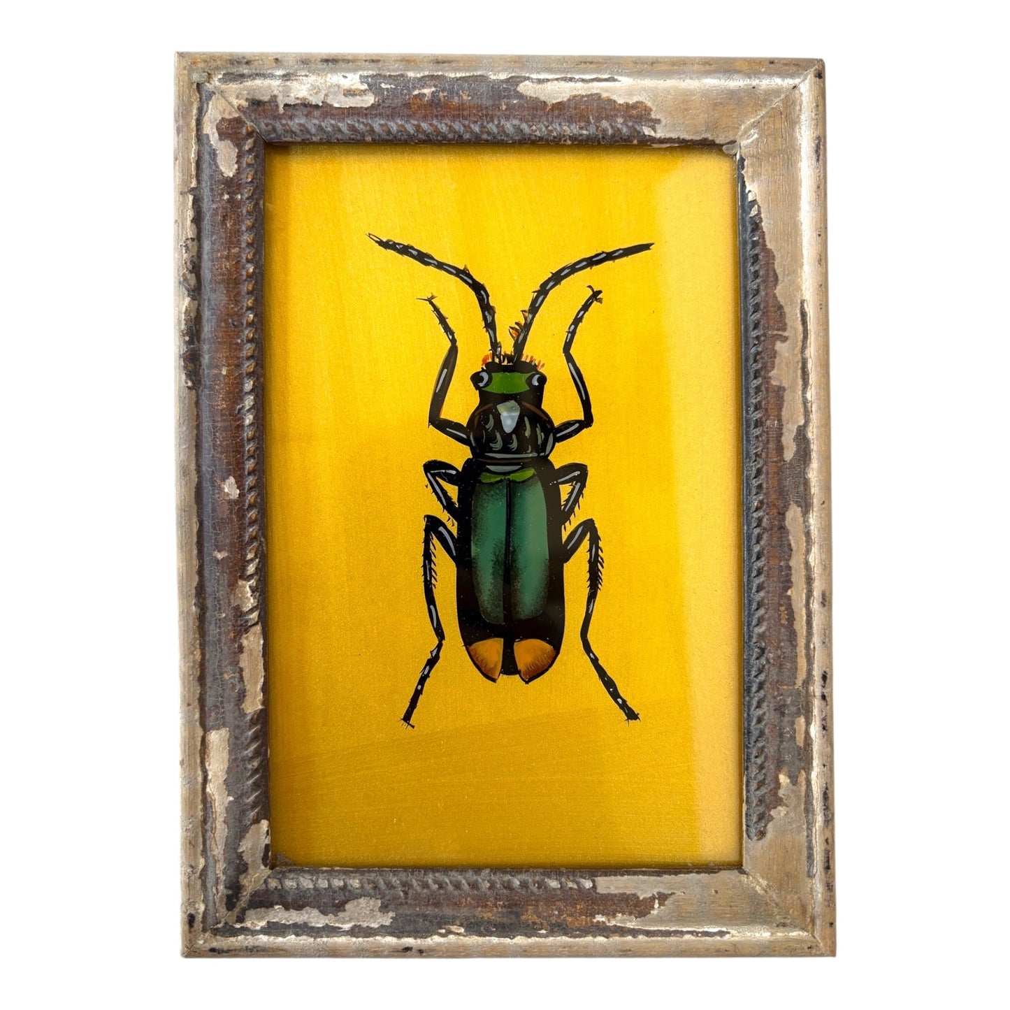 Small gold green beetle