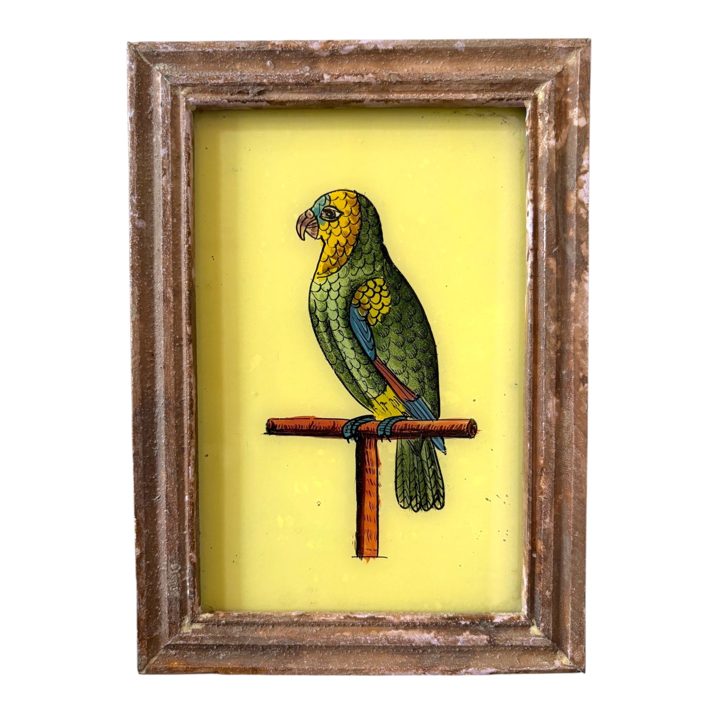 small parrot glass painting
