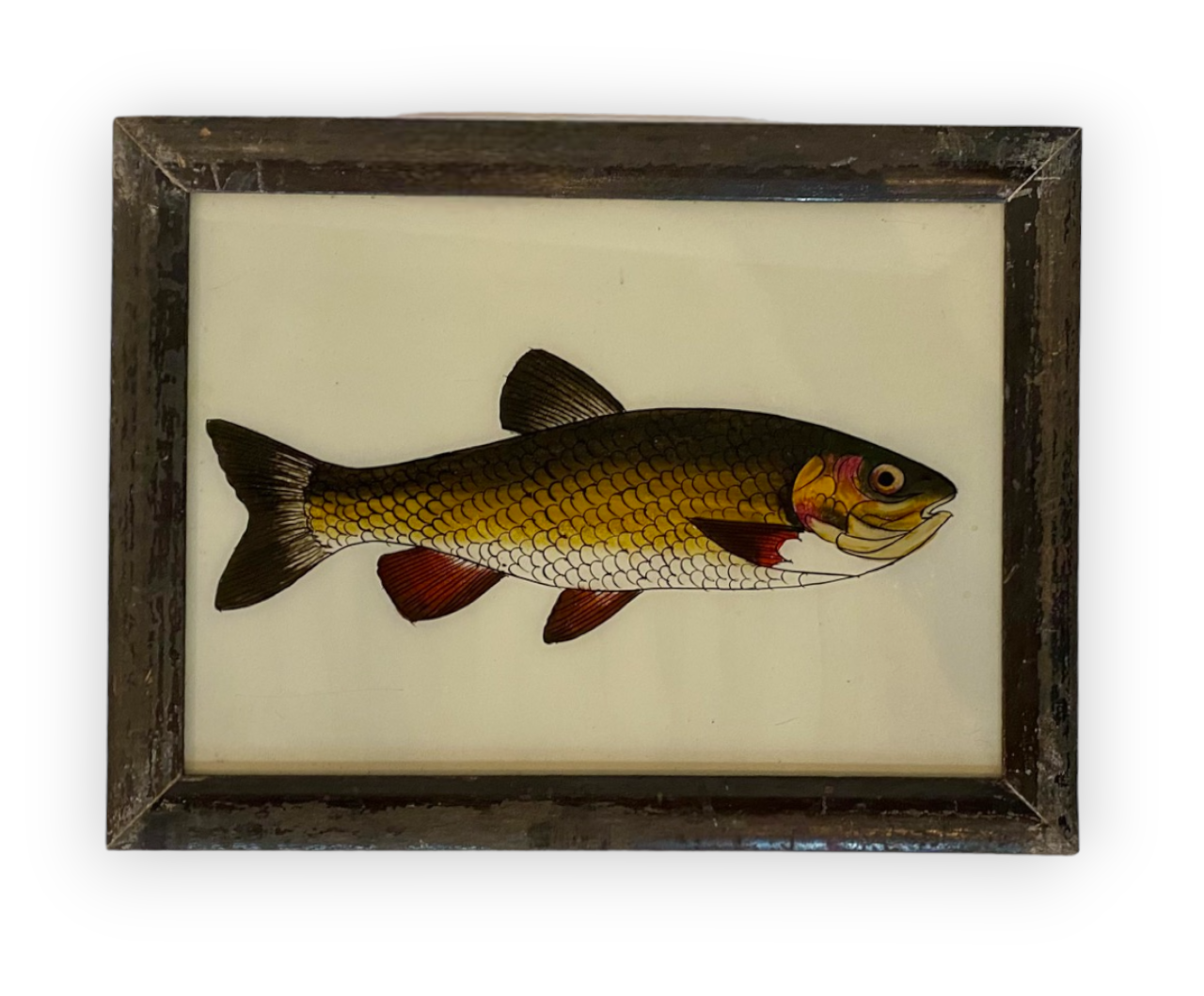 large fish glass painting